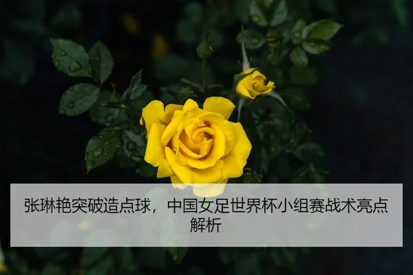 zhang-lin-yan-tu-po-zao-dian-qiu-zhong-guo-nv-zu-shi-jie-bei-xiao-zu-sai-zhan-shu-liang-dian-jie-xi-2-462.jpg
